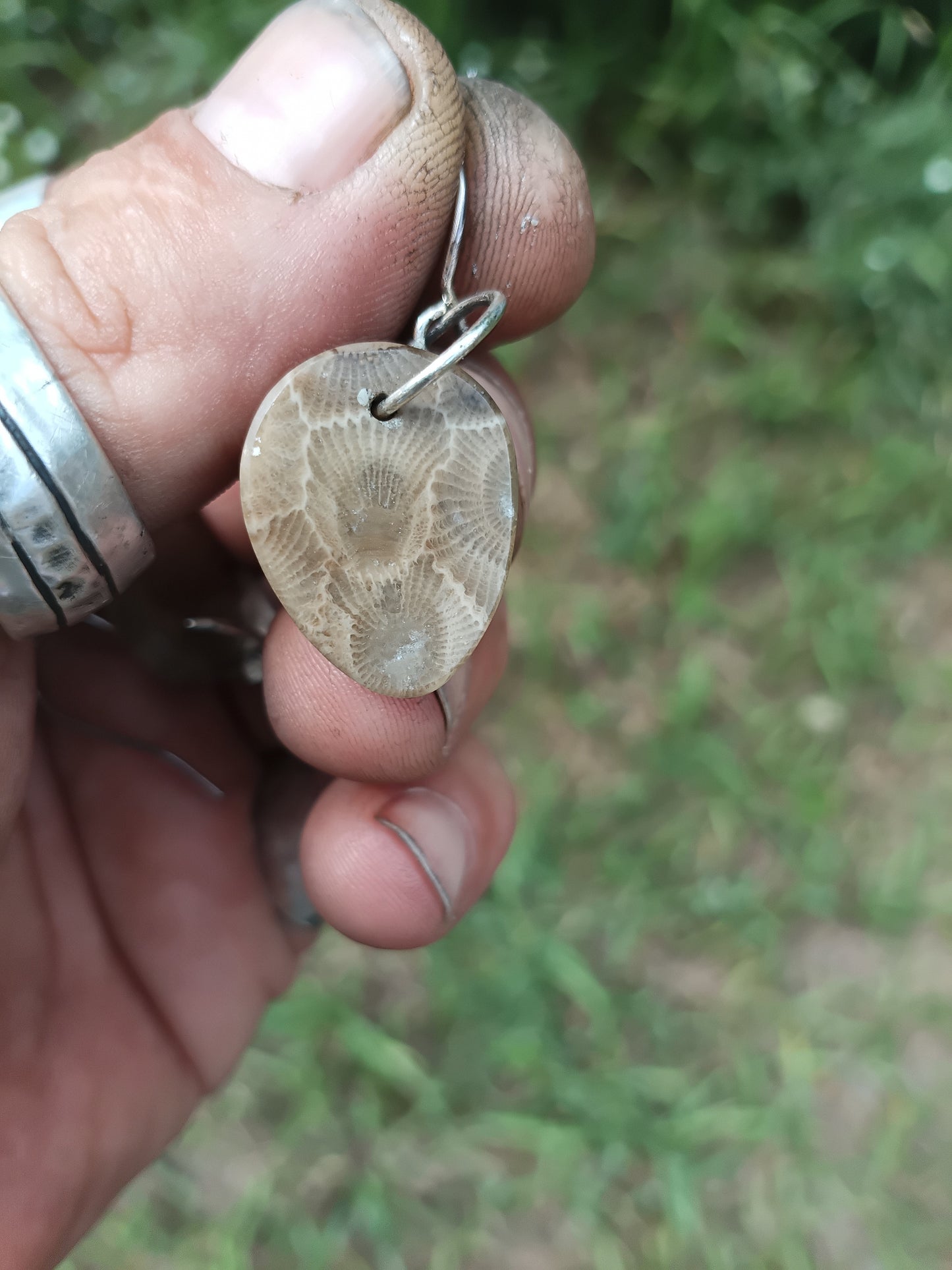 Petoskey stone earrings