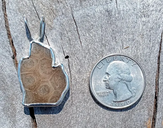 Beautiful lower Michigan Petoskey stone pendant set in fine silver