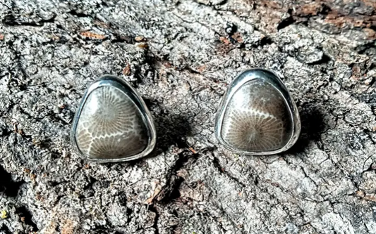 Michigan Petoskey stone fossil earrings set in fine silver