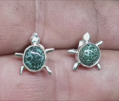 Teeny tiny turtles