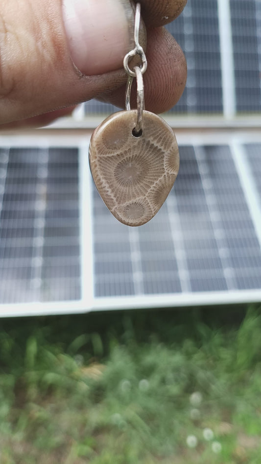 Petoskey stone earrings