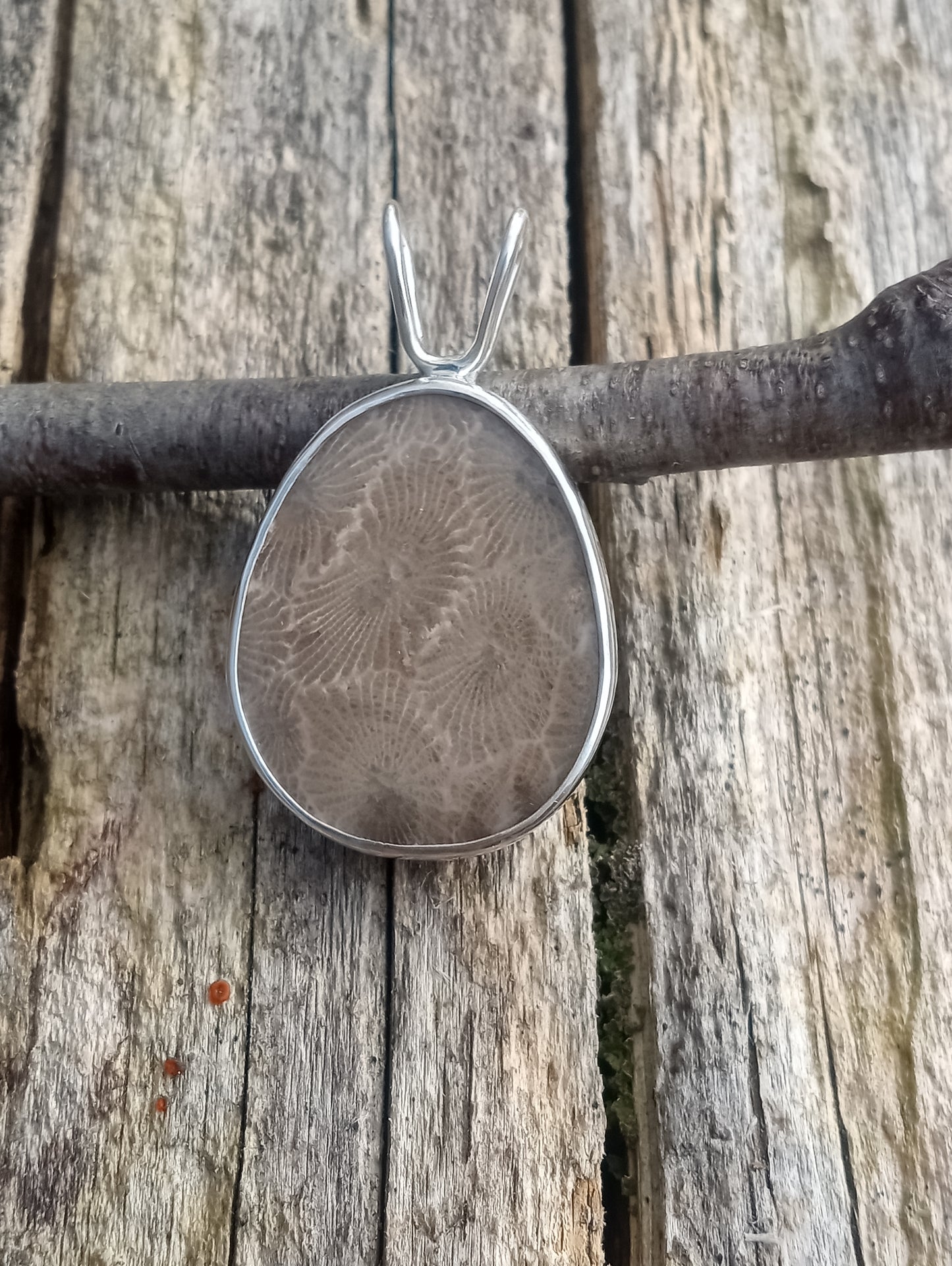 Beautiful vivid Petoskey stone pendant in fine silver