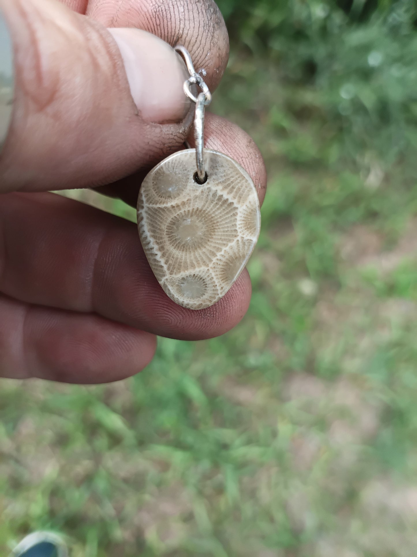 Petoskey stone earrings