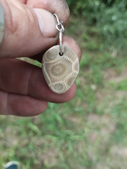 Petoskey stone earrings