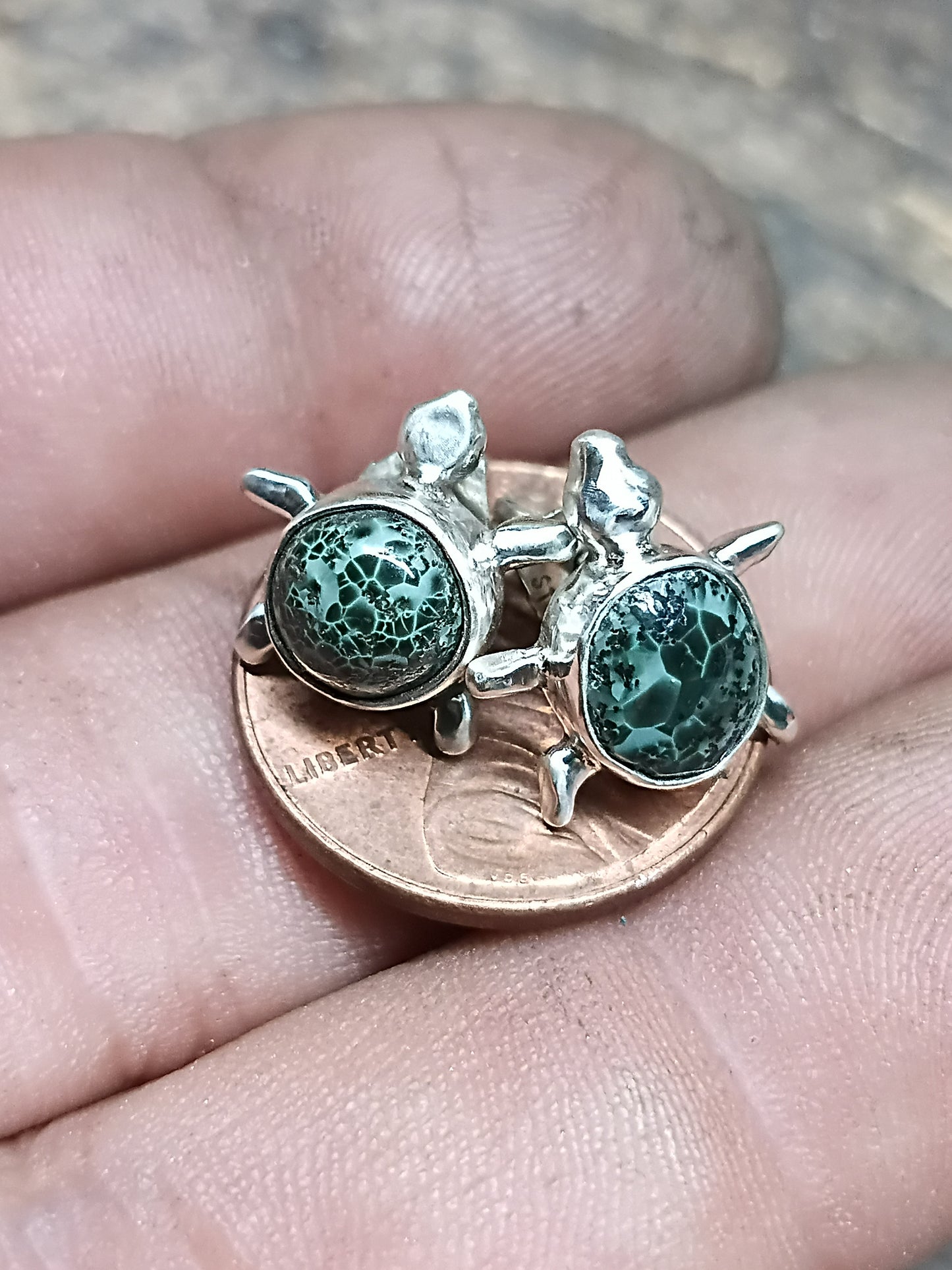 Teeny tiny turtles